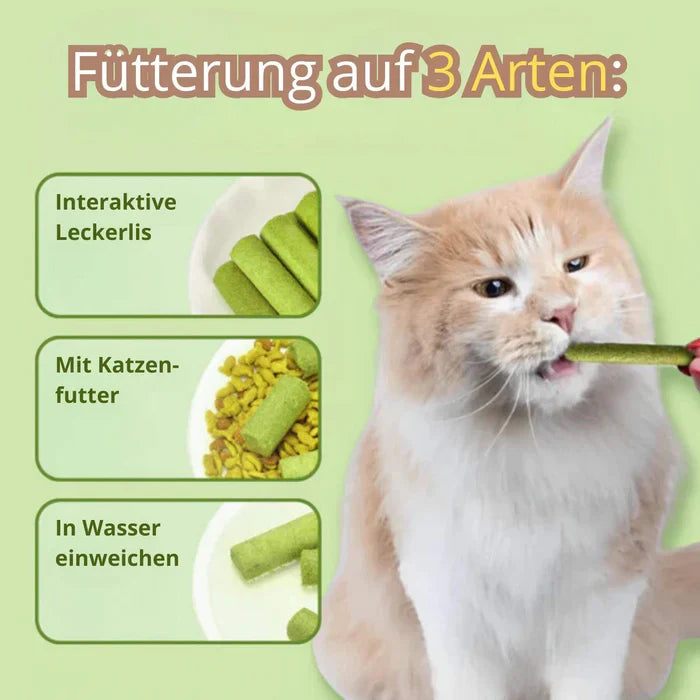 1+1 GRATIS TIJDELIJK  | WhiskerWonder™ | Gezond kauwspeelgoed voor een gelukkige, haarbalvrije kat!