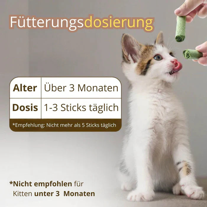 1+1 GRATIS TIJDELIJK  | WhiskerWonder™ | Gezond kauwspeelgoed voor een gelukkige, haarbalvrije kat!