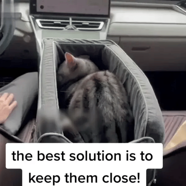 PawPort™ Reisbasis Hond en Kat