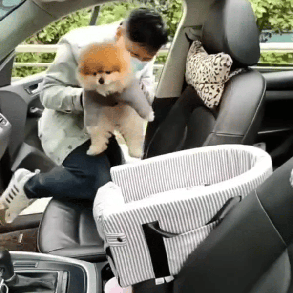 PawPort™ Reisbasis Hond en Kat