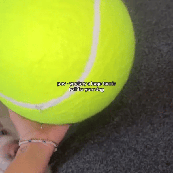 TIJDELIJK 50% KORTING  MegaFetch™