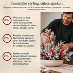 Nederlandse productafbeelding