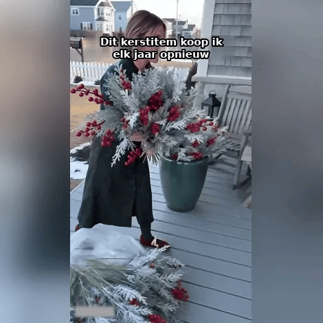 PineFrost — kerstdecoratie in gebruik met Nederlandse ondertiteling