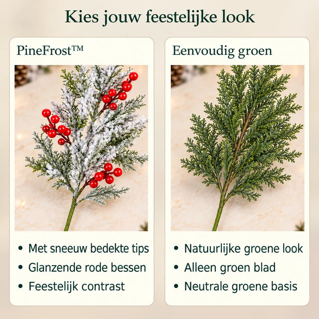 Nederlandse productafbeelding