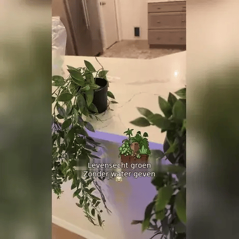 Hangplanten in gebruik