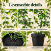 GreenDrape™ - Levensechte groenblijvende hangplanten, afbeelding 4
