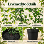 GreenDrape™ - Levensechte groenblijvende hangplanten, afbeelding 4