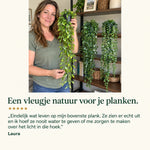 GreenDrape™ - Levensechte groenblijvende hangplanten, afbeelding 5