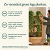 GreenDrape™ - Levensechte groenblijvende hangplanten, afbeelding 6