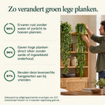 GreenDrape™ - Levensechte groenblijvende hangplanten, afbeelding 6