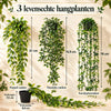 GreenDrape™ - Levensechte groenblijvende hangplanten, afbeelding 8