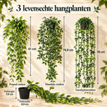 GreenDrape™ - Levensechte groenblijvende hangplanten, afbeelding 8