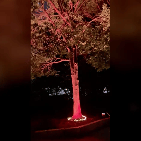 TrunkGlow™ - Kleurrijke boomverlichting