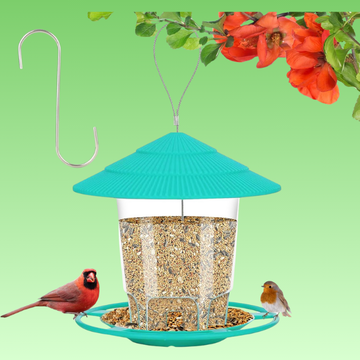 TIJDELIJK 50% KORTING | TweetHaven™